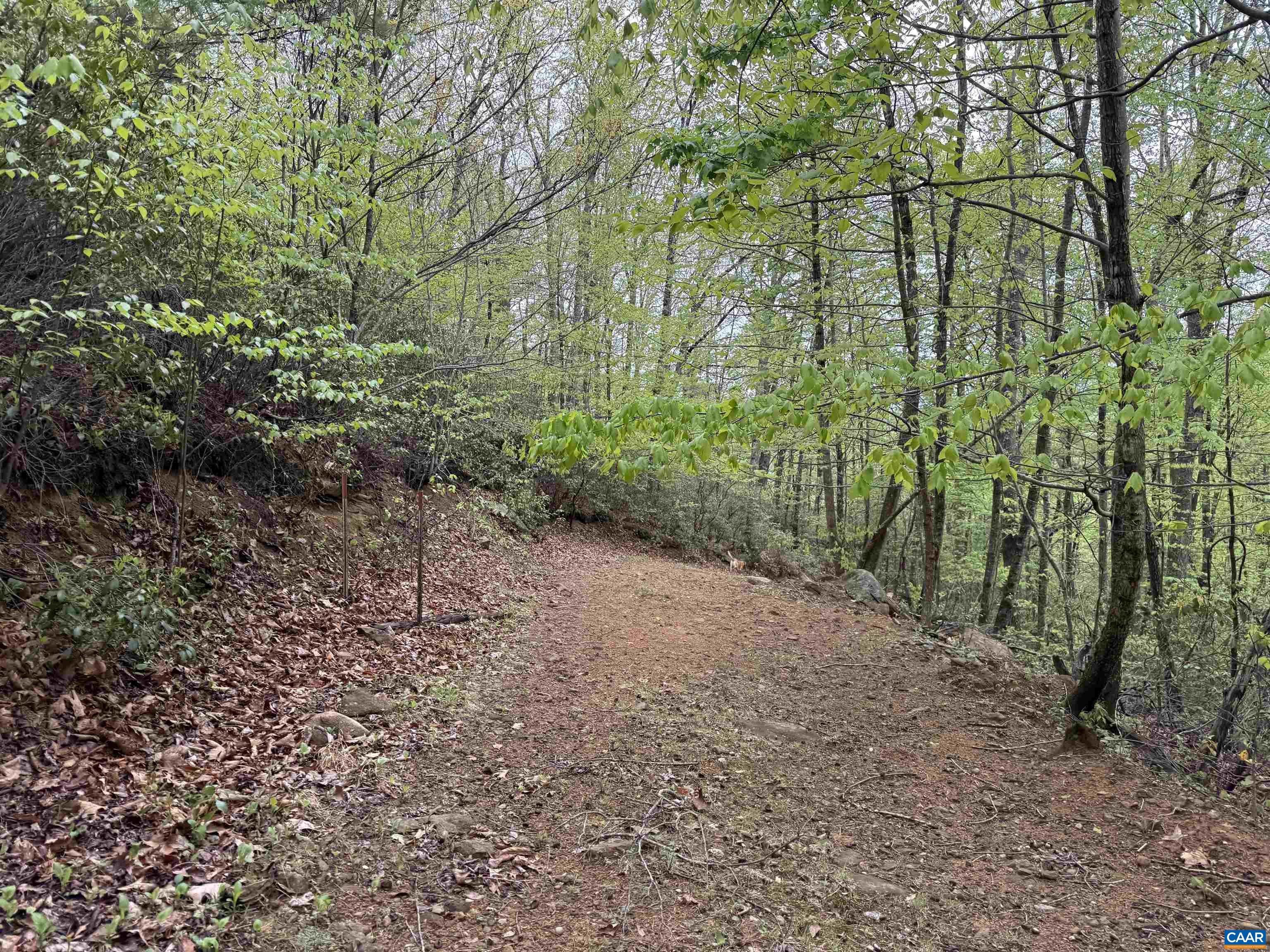 0 BLACK ROCK LN, INDEPENDENCE, Virginia 24348, ,Farm,0 BLACK ROCK LN,677377 MLS # 677377 0 BLACK ROCK LN, INDEPENDENCE, Virginia 24348, ,Farm,0 BLACK ROCK LN,677377 MLS # 677377