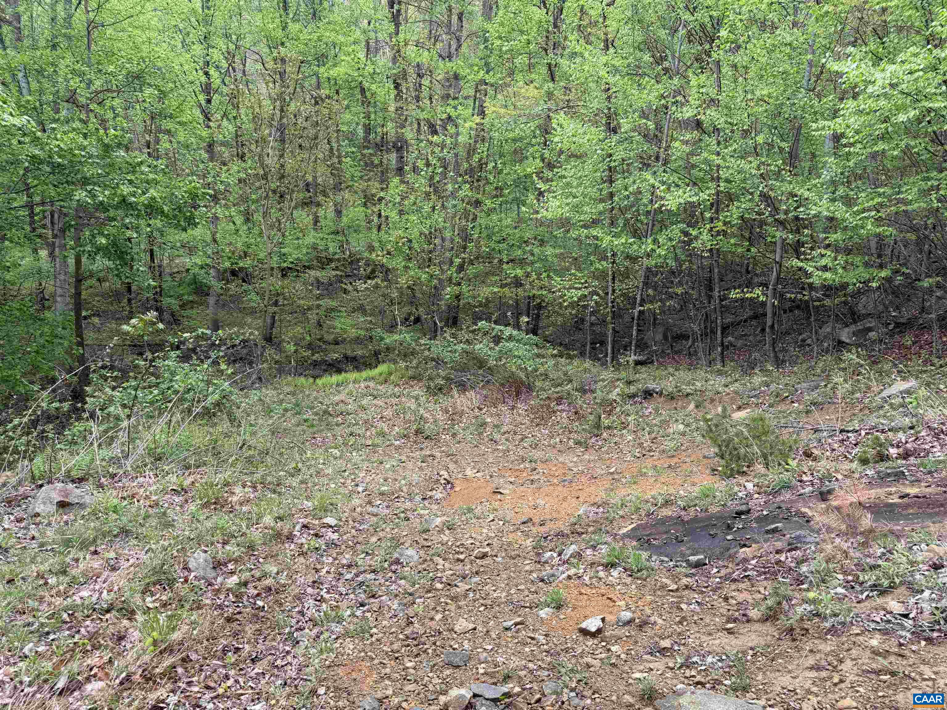 0 BLACK ROCK LN, INDEPENDENCE, Virginia 24348, ,Farm,0 BLACK ROCK LN,677377 MLS # 677377 0 BLACK ROCK LN, INDEPENDENCE, Virginia 24348, ,Farm,0 BLACK ROCK LN,677377 MLS # 677377
