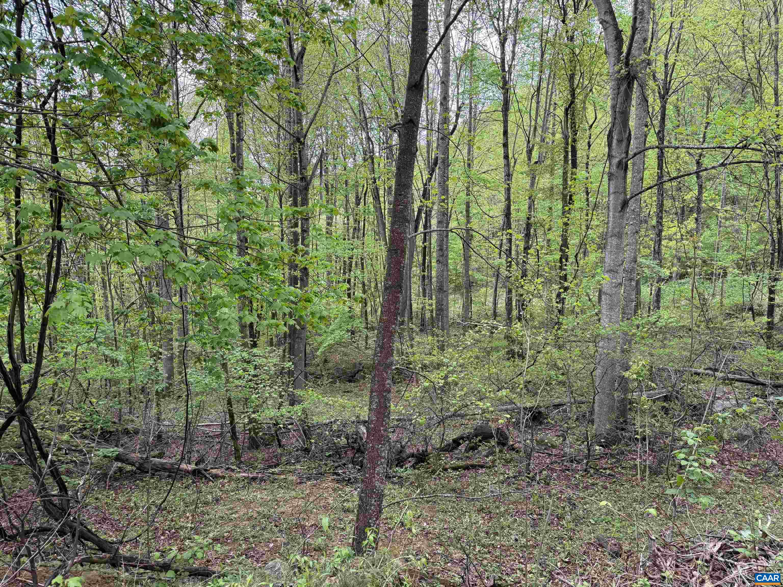 0 BLACK ROCK LN, INDEPENDENCE, Virginia 24348, ,Farm,0 BLACK ROCK LN,677377 MLS # 677377 0 BLACK ROCK LN, INDEPENDENCE, Virginia 24348, ,Farm,0 BLACK ROCK LN,677377 MLS # 677377