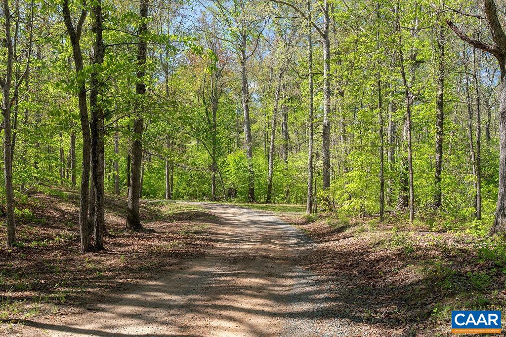 317 LAKE VIEW LN, PALMYRA, Virginia 22963, ,Farm,Jefferson Lake Farm,317 LAKE VIEW LN,677397 MLS # 677397
