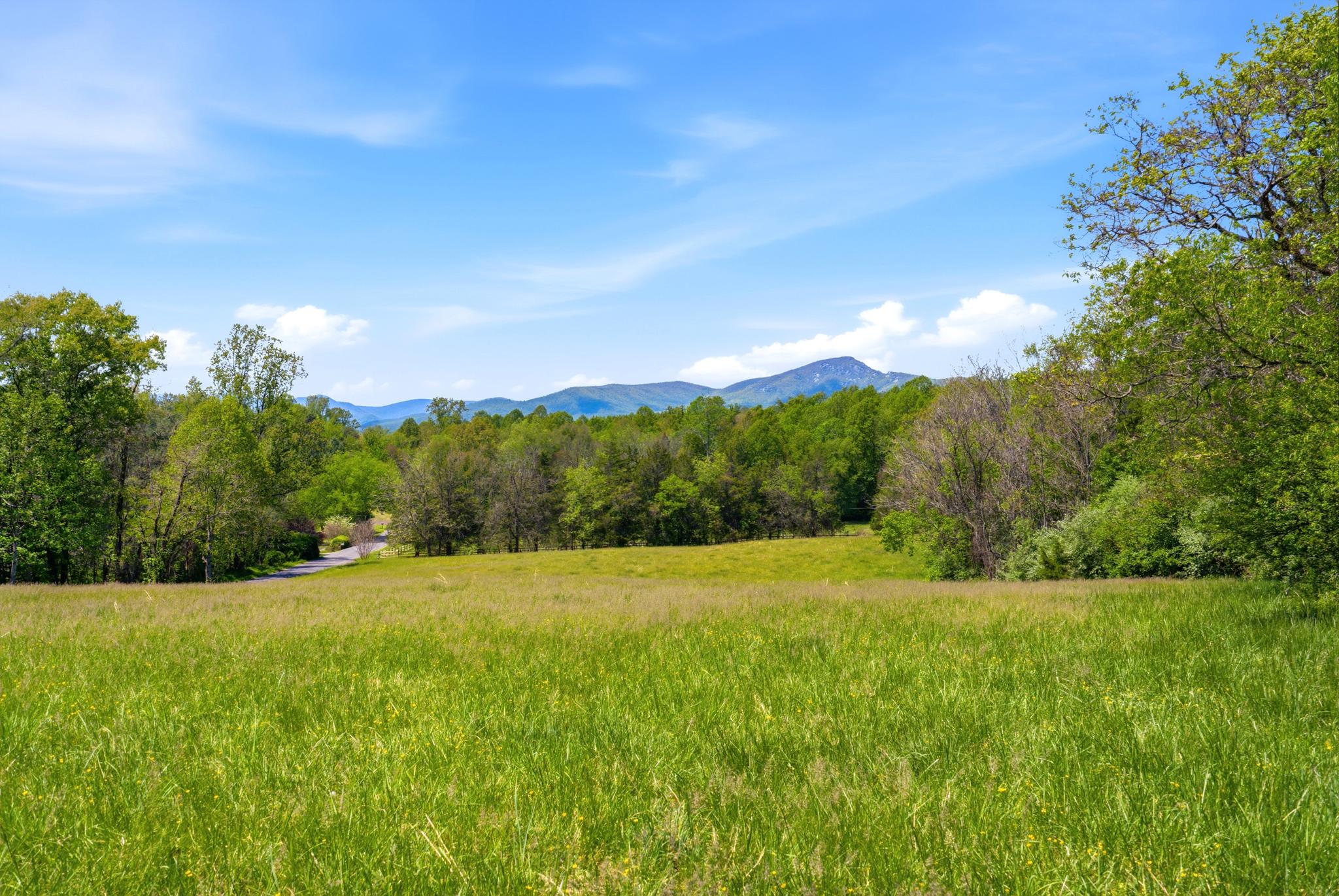 15 CHILTON LN, SPERRYVILLE, Virginia 22740, 3 Bedrooms Bedrooms, ,2 BathroomsBathrooms,Residential,15 CHILTON LN,VARP2002662 MLS # VARP2002662 15 CHILTON LN, SPERRYVILLE, Virginia 22740, 3 Bedrooms Bedrooms, ,2 BathroomsBathrooms,Residential,15 CHILTON LN,VARP2002662 MLS # VARP2002662