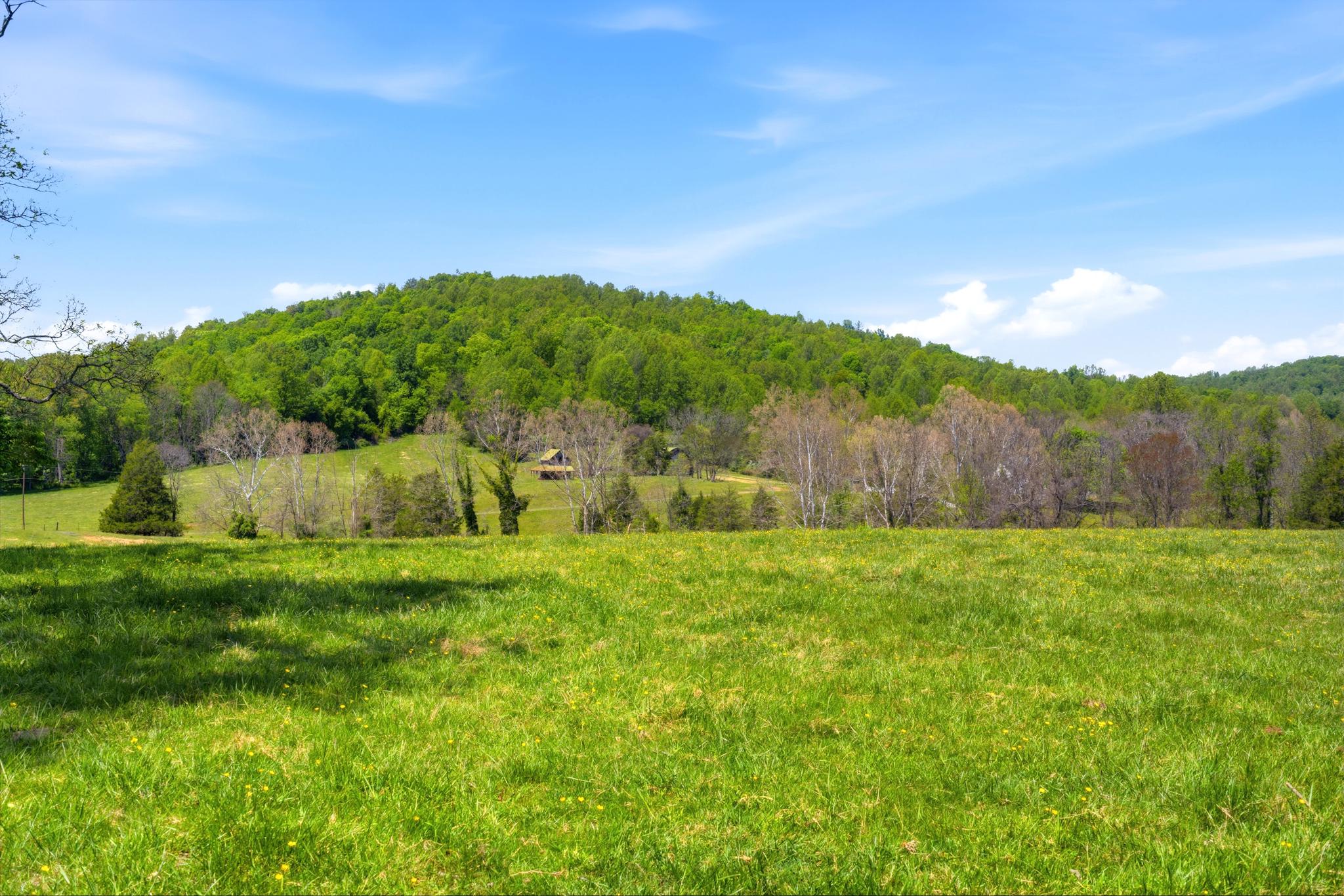 15 CHILTON LN, SPERRYVILLE, Virginia 22740, 3 Bedrooms Bedrooms, ,2 BathroomsBathrooms,Residential,15 CHILTON LN,VARP2002662 MLS # VARP2002662 15 CHILTON LN, SPERRYVILLE, Virginia 22740, 3 Bedrooms Bedrooms, ,2 BathroomsBathrooms,Residential,15 CHILTON LN,VARP2002662 MLS # VARP2002662