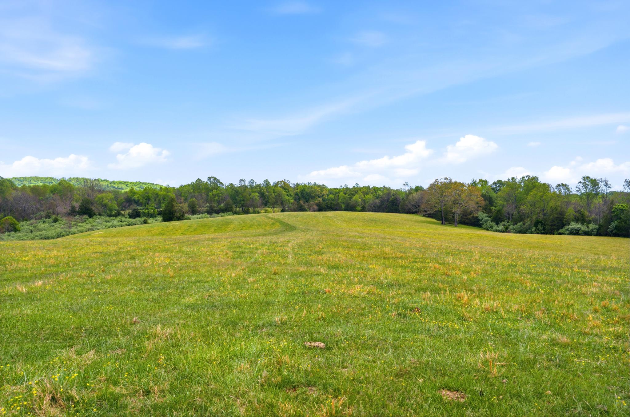 15 CHILTON LN, SPERRYVILLE, Virginia 22740, 3 Bedrooms Bedrooms, ,2 BathroomsBathrooms,Residential,15 CHILTON LN,VARP2002662 MLS # VARP2002662 15 CHILTON LN, SPERRYVILLE, Virginia 22740, 3 Bedrooms Bedrooms, ,2 BathroomsBathrooms,Residential,15 CHILTON LN,VARP2002662 MLS # VARP2002662