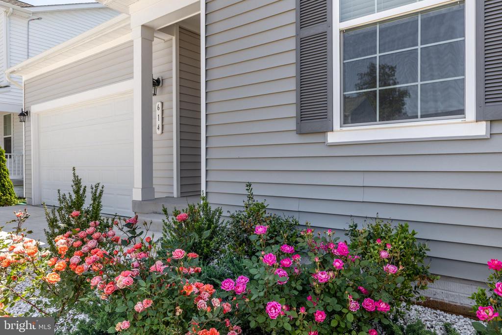 614 CLOVER LN, ORANGE, Virginia 22960, 3 Bedrooms Bedrooms, ,3 BathroomsBathrooms,Residential,614 CLOVER LN,VAOR2014258 MLS # VAOR2014258 614 CLOVER LN, ORANGE, Virginia 22960, 3 Bedrooms Bedrooms, ,3 BathroomsBathrooms,Residential,614 CLOVER LN,VAOR2014258 MLS # VAOR2014258