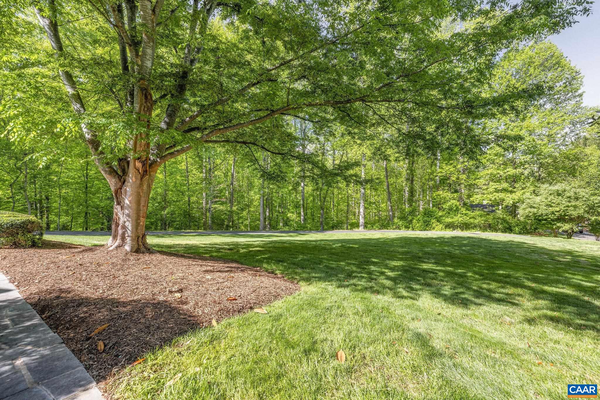 Loads of lawn for all your yard games!