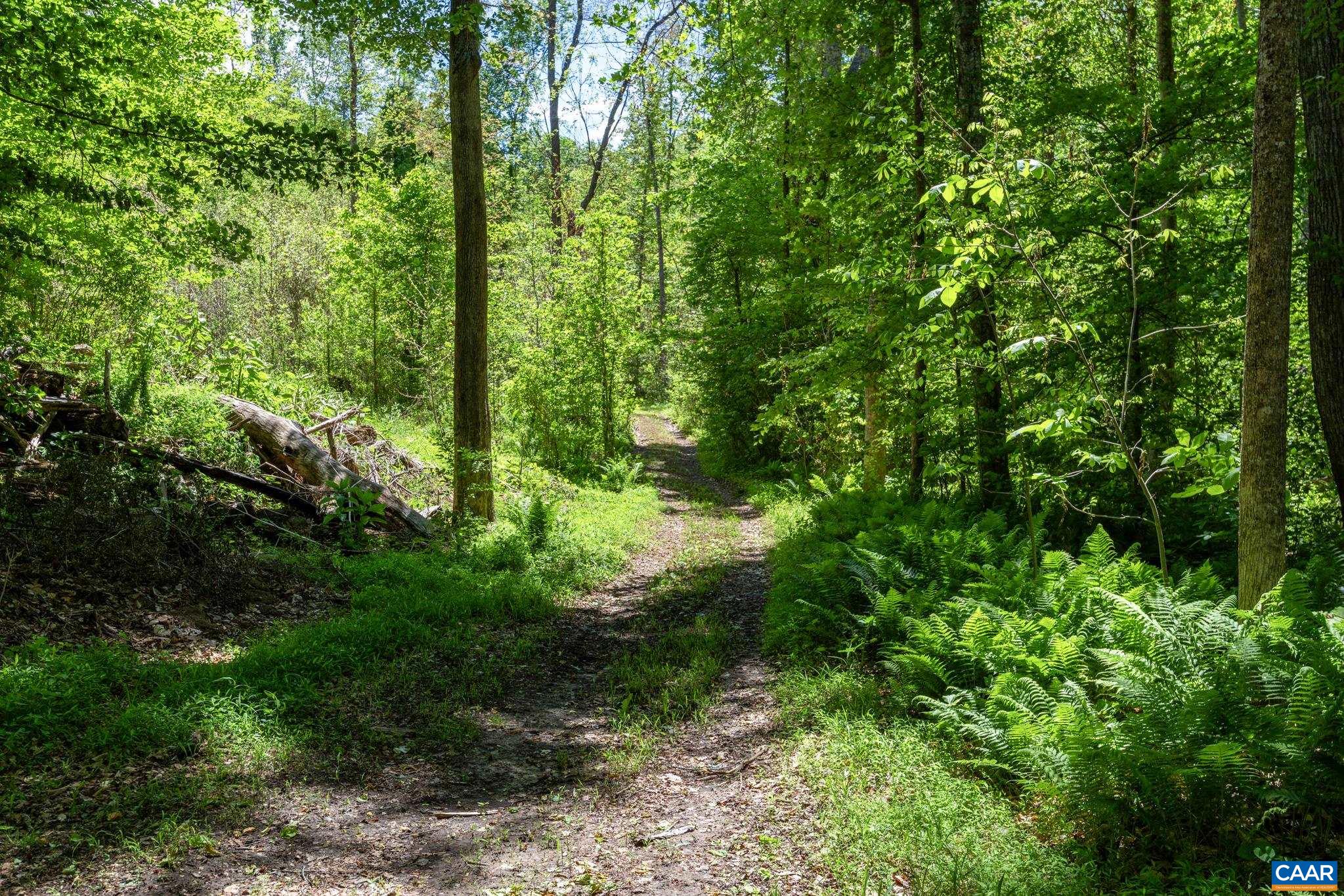 4739 E OLD MOUNTAIN RD, LOUISA, Virginia 23093, 3 Bedrooms Bedrooms, ,2 BathroomsBathrooms,Residential,4739 E OLD MOUNTAIN RD,677297 MLS # 677297