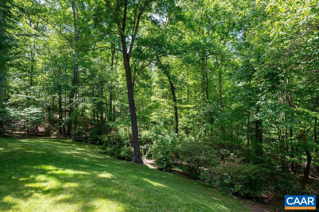 315 TERRELL RD W, CHARLOTTESVILLE, Virginia 22901, 4 Bedrooms Bedrooms, ,3 BathroomsBathrooms,Residential,315 TERRELL RD W,677359 MLS # 677359