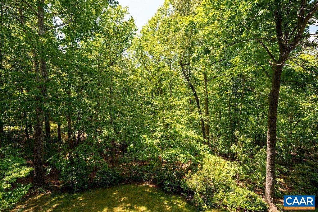 315 TERRELL RD W, CHARLOTTESVILLE, Virginia 22901, 4 Bedrooms Bedrooms, ,3 BathroomsBathrooms,Residential,315 TERRELL RD W,677359 MLS # 677359
