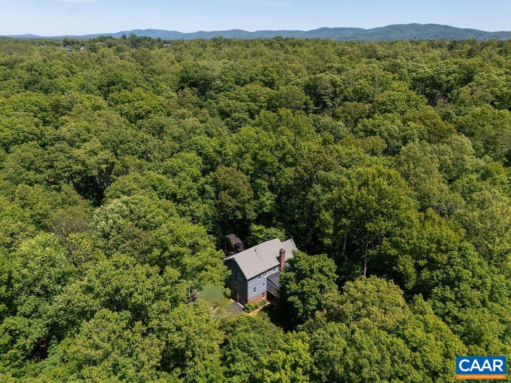 315 TERRELL RD W, CHARLOTTESVILLE, Virginia 22901, 4 Bedrooms Bedrooms, ,3 BathroomsBathrooms,Residential,315 TERRELL RD W,677359 MLS # 677359