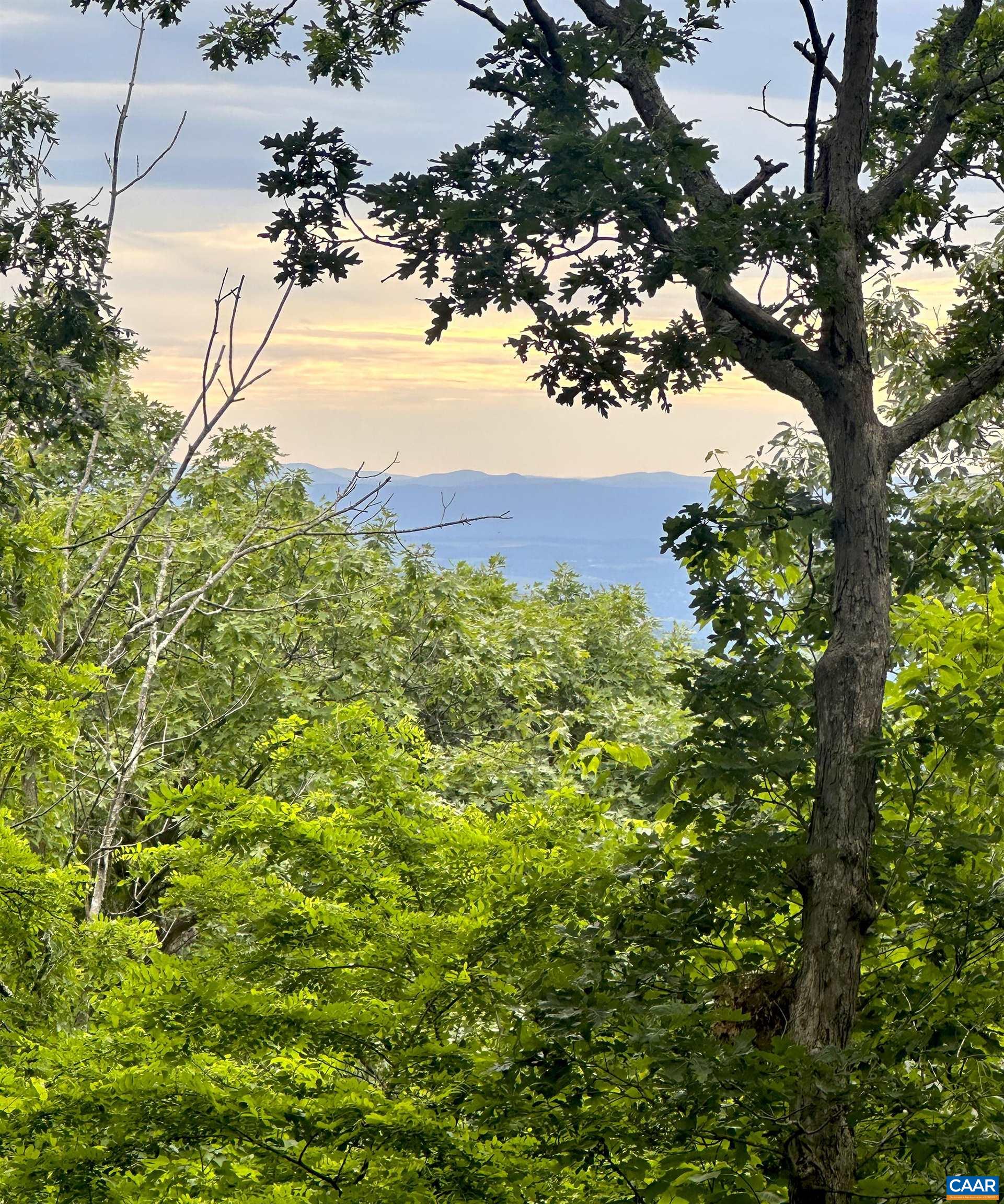 45 RAVENS ROOST LN, WINTERGREEN RESORT, Virginia 22967, 4 Bedrooms Bedrooms, ,3 BathroomsBathrooms,Residential,45 RAVENS ROOST LN,677368 MLS # 677368 45 RAVENS ROOST LN, WINTERGREEN RESORT, Virginia 22967, 4 Bedrooms Bedrooms, ,3 BathroomsBathrooms,Residential,45 RAVENS ROOST LN,677368 MLS # 677368