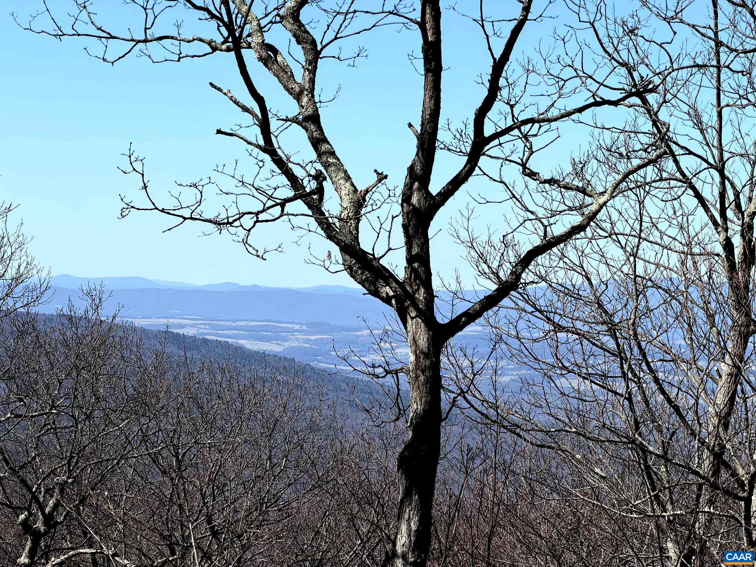 Beautiful mountain and Shenandoah Valley views from early November through early May. Beautiful mountain and Shenandoah Valley views from early November through early May.