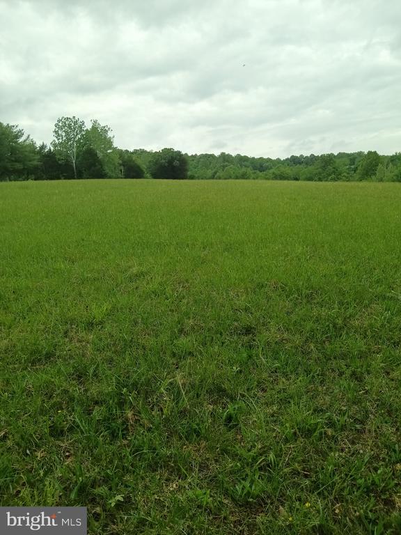 0 JOHN TUCKER, MADISON, Virginia 22727, ,Land,0 JOHN TUCKER,VAMA2002750 MLS # VAMA2002750 0 JOHN TUCKER, MADISON, Virginia 22727, ,Land,0 JOHN TUCKER,VAMA2002750 MLS # VAMA2002750