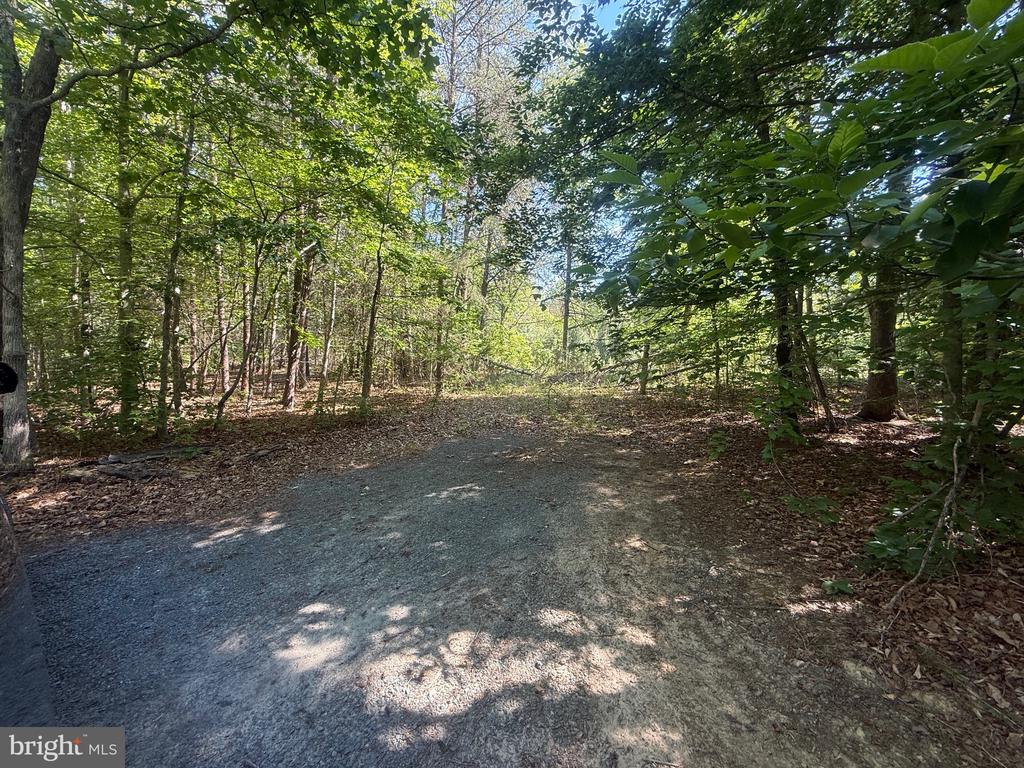 SWEETWATER WAY, KESWICK, Virginia 22947, ,Land,SWEETWATER WAY,VAAB2001234 MLS # VAAB2001234 SWEETWATER WAY, KESWICK, Virginia 22947, ,Land,SWEETWATER WAY,VAAB2001234 MLS # VAAB2001234