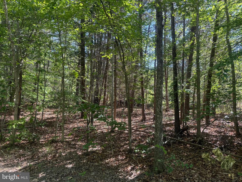 SWEETWATER WAY, KESWICK, Virginia 22947, ,Land,SWEETWATER WAY,VAAB2001234 MLS # VAAB2001234 SWEETWATER WAY, KESWICK, Virginia 22947, ,Land,SWEETWATER WAY,VAAB2001234 MLS # VAAB2001234