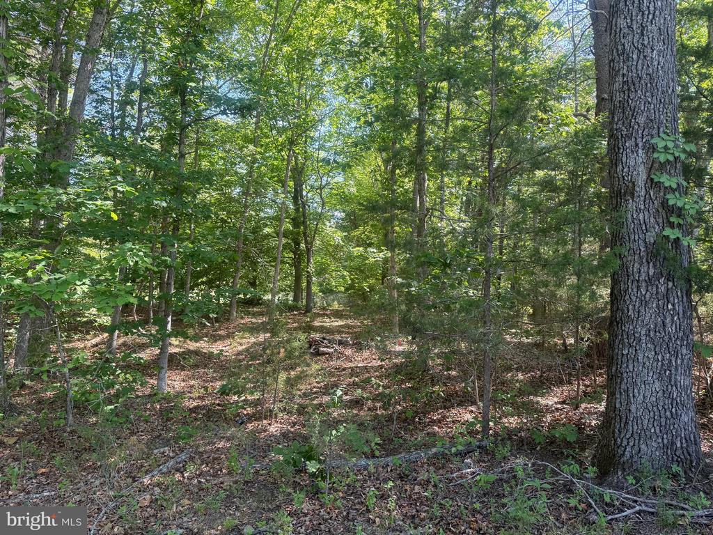 SWEETWATER WAY, KESWICK, Virginia 22947, ,Land,SWEETWATER WAY,VAAB2001234 MLS # VAAB2001234 SWEETWATER WAY, KESWICK, Virginia 22947, ,Land,SWEETWATER WAY,VAAB2001234 MLS # VAAB2001234