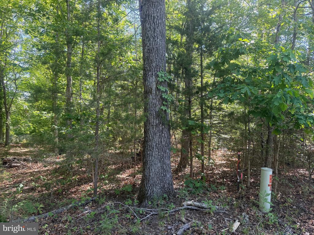 SWEETWATER WAY, KESWICK, Virginia 22947, ,Land,SWEETWATER WAY,VAAB2001234 MLS # VAAB2001234 SWEETWATER WAY, KESWICK, Virginia 22947, ,Land,SWEETWATER WAY,VAAB2001234 MLS # VAAB2001234