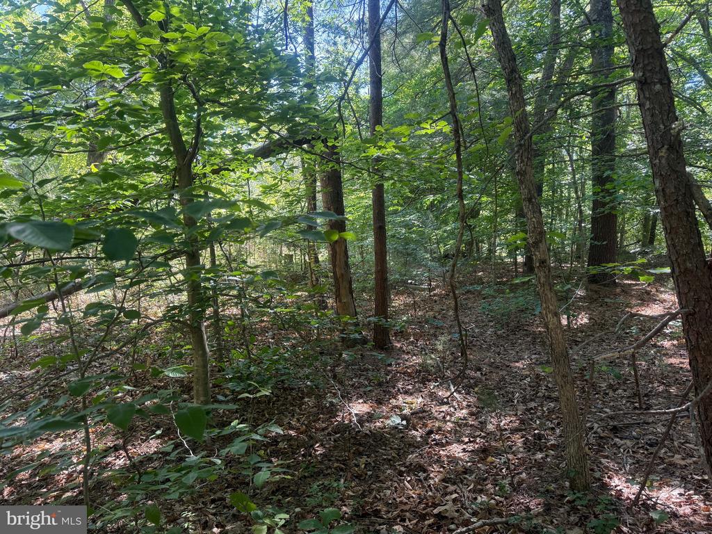 SWEETWATER WAY, KESWICK, Virginia 22947, ,Land,SWEETWATER WAY,VAAB2001234 MLS # VAAB2001234 SWEETWATER WAY, KESWICK, Virginia 22947, ,Land,SWEETWATER WAY,VAAB2001234 MLS # VAAB2001234