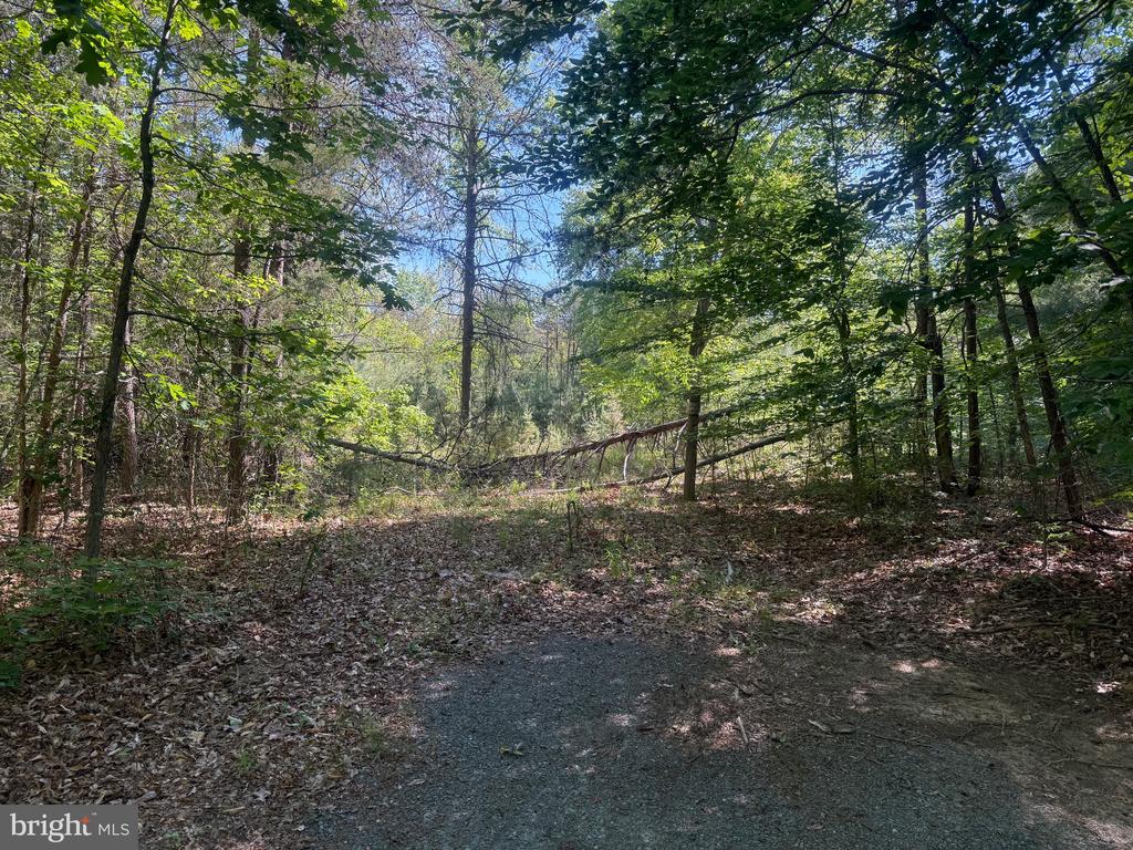 SWEETWATER WAY, KESWICK, Virginia 22947, ,Land,SWEETWATER WAY,VAAB2001234 MLS # VAAB2001234 SWEETWATER WAY, KESWICK, Virginia 22947, ,Land,SWEETWATER WAY,VAAB2001234 MLS # VAAB2001234