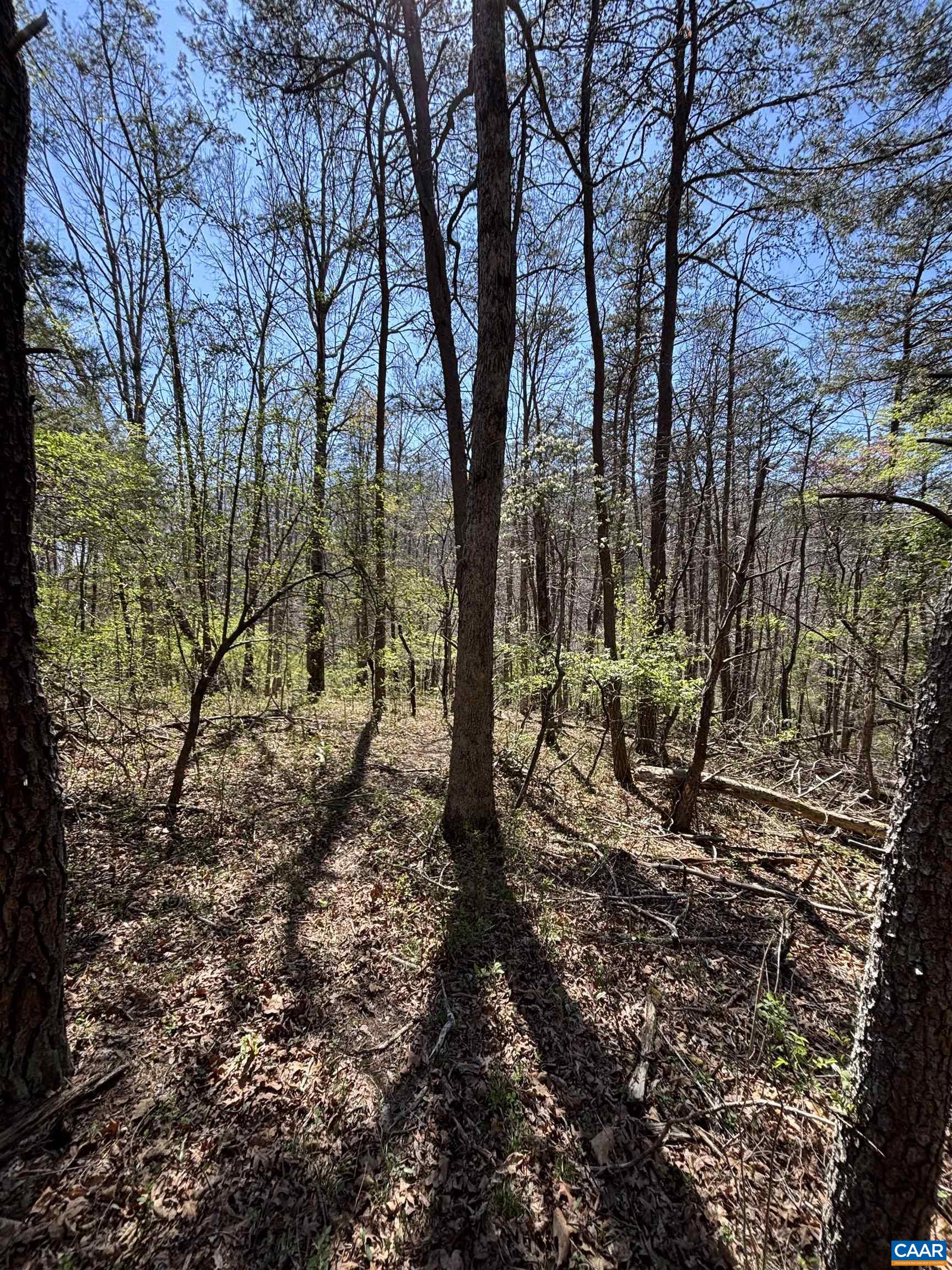 475 SANGERS LN, STAUNTON, Virginia 24401, ,Land,475 SANGERS LN,677400 MLS # 677400 475 SANGERS LN, STAUNTON, Virginia 24401, ,Land,475 SANGERS LN,677400 MLS # 677400