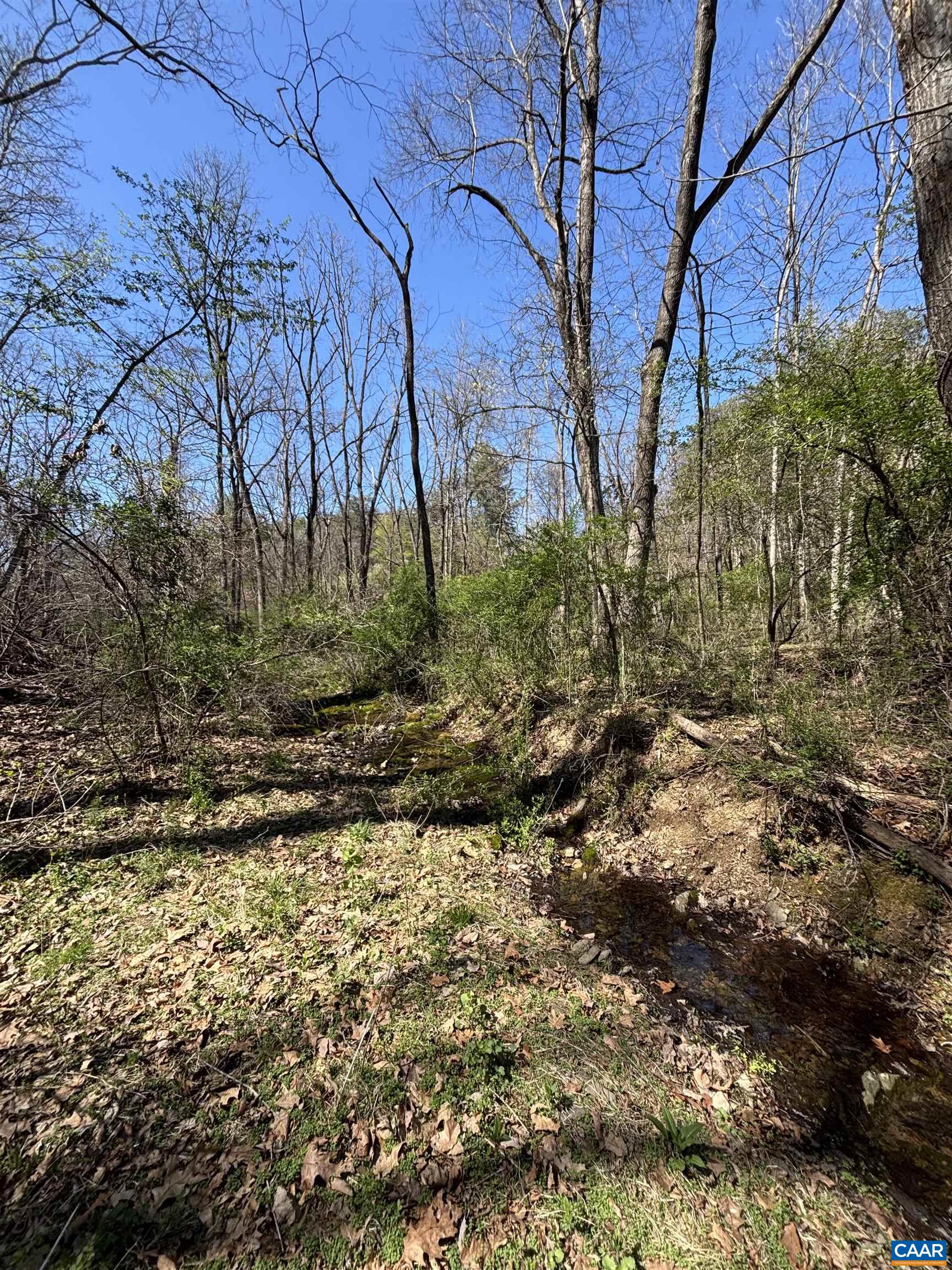 475 SANGERS LN, STAUNTON, Virginia 24401, ,Land,475 SANGERS LN,677400 MLS # 677400 475 SANGERS LN, STAUNTON, Virginia 24401, ,Land,475 SANGERS LN,677400 MLS # 677400