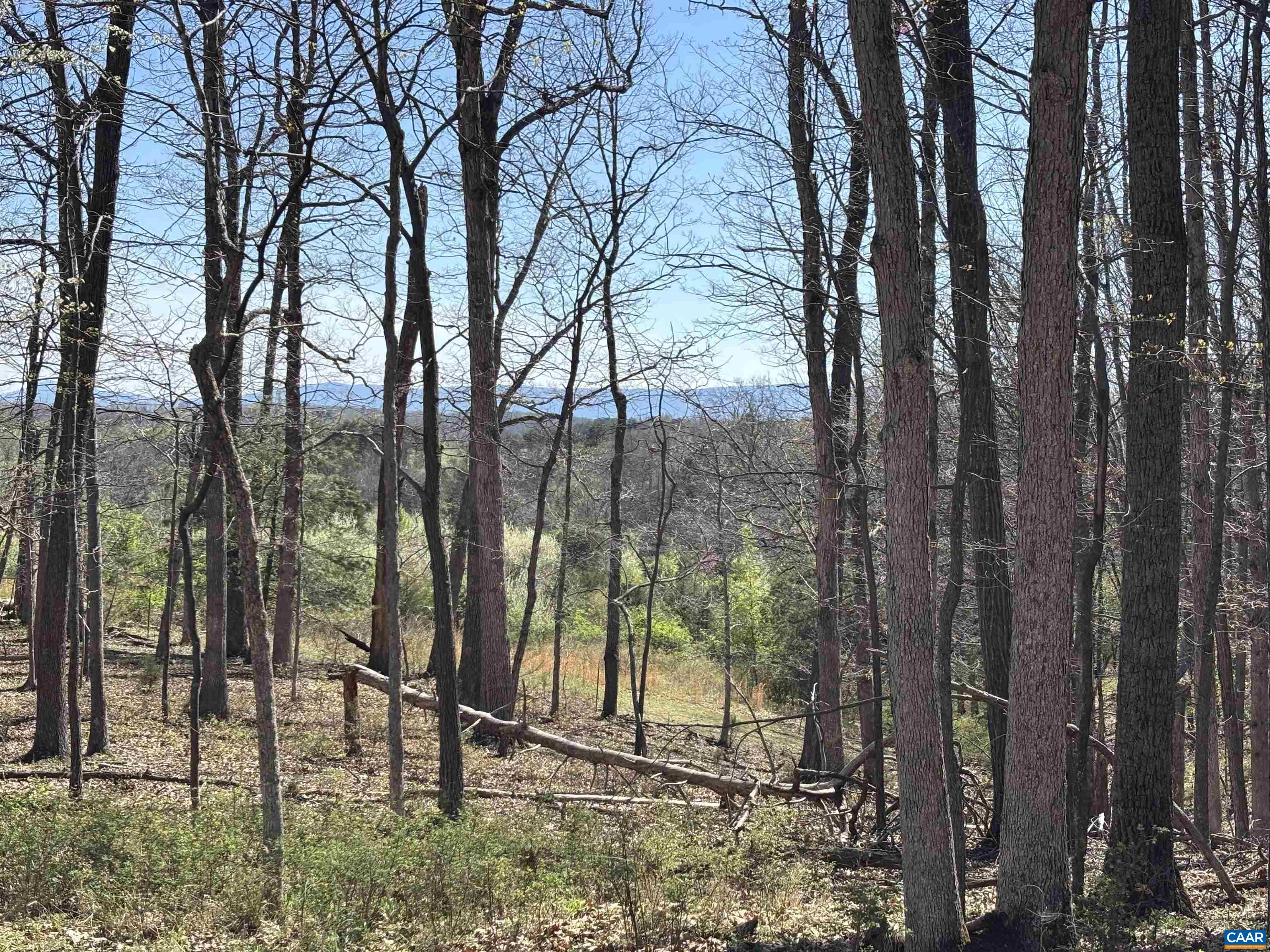 475 SANGERS LN, STAUNTON, Virginia 24401, ,Land,475 SANGERS LN,677400 MLS # 677400 475 SANGERS LN, STAUNTON, Virginia 24401, ,Land,475 SANGERS LN,677400 MLS # 677400