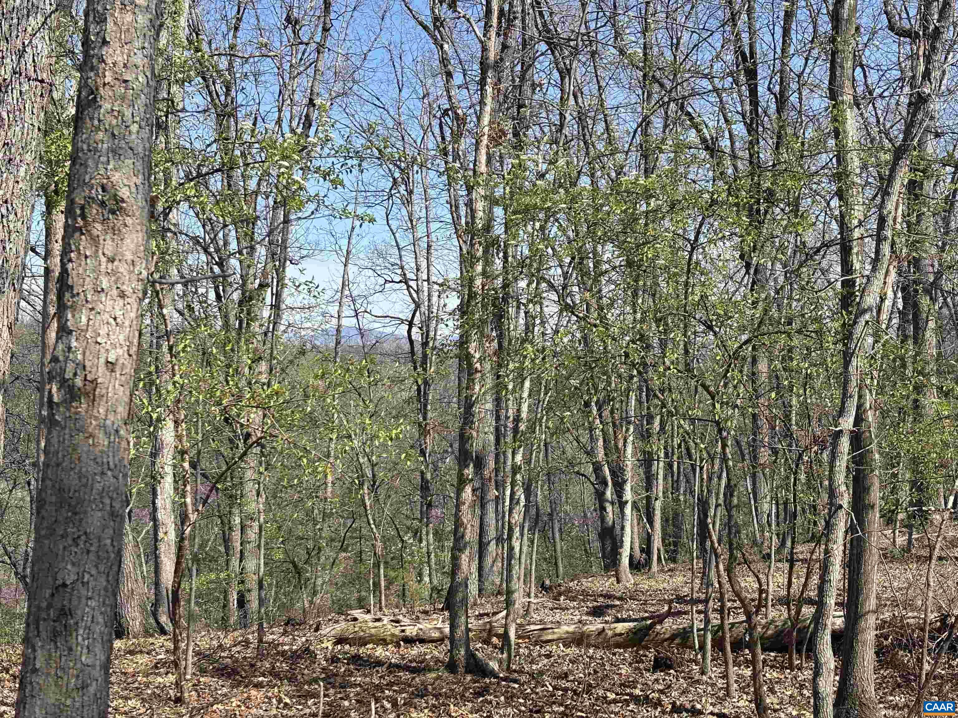 475 SANGERS LN, STAUNTON, Virginia 24401, ,Land,475 SANGERS LN,677400 MLS # 677400 475 SANGERS LN, STAUNTON, Virginia 24401, ,Land,475 SANGERS LN,677400 MLS # 677400
