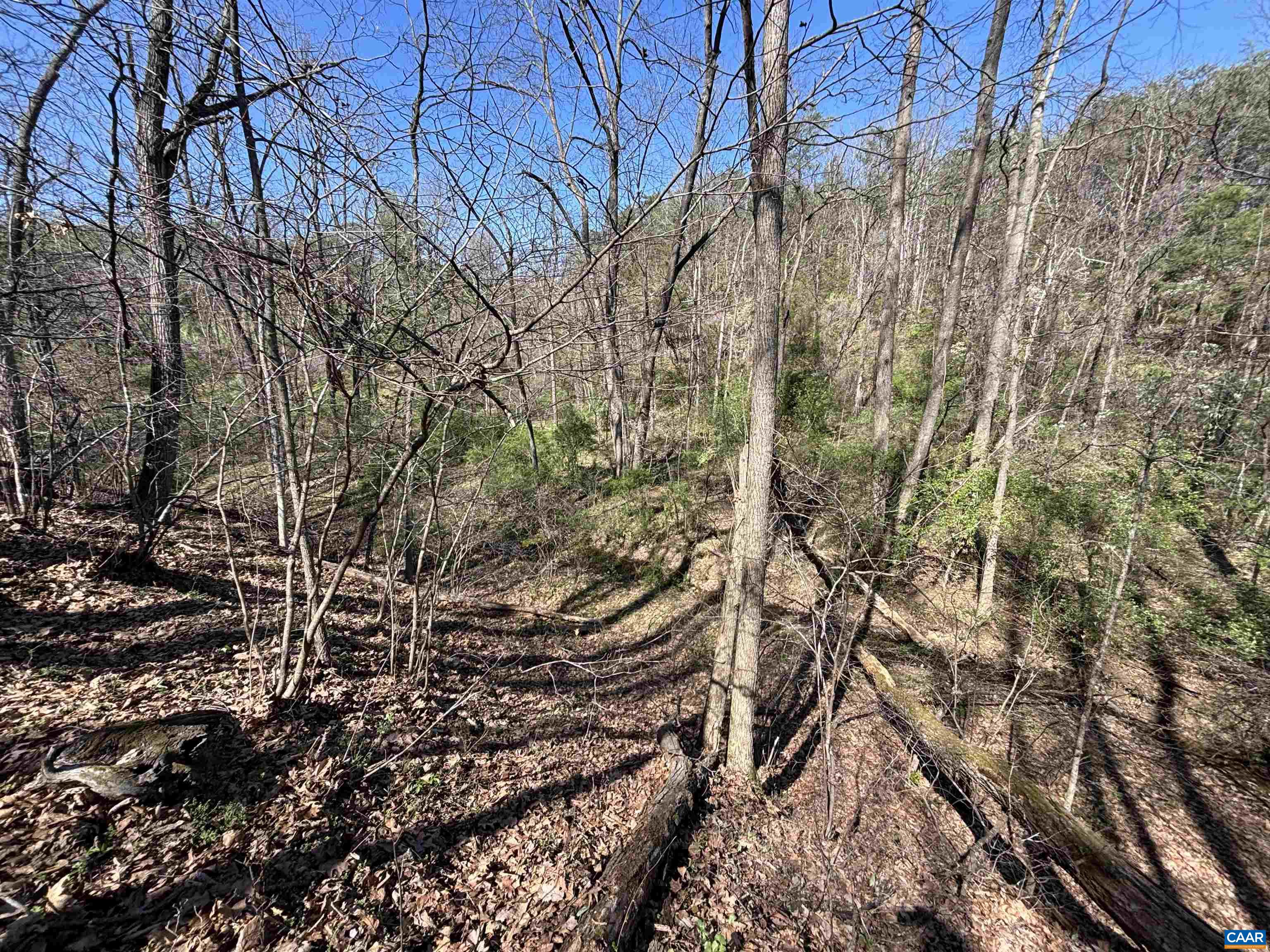 475 SANGERS LN, STAUNTON, Virginia 24401, ,Land,475 SANGERS LN,677400 MLS # 677400 475 SANGERS LN, STAUNTON, Virginia 24401, ,Land,475 SANGERS LN,677400 MLS # 677400
