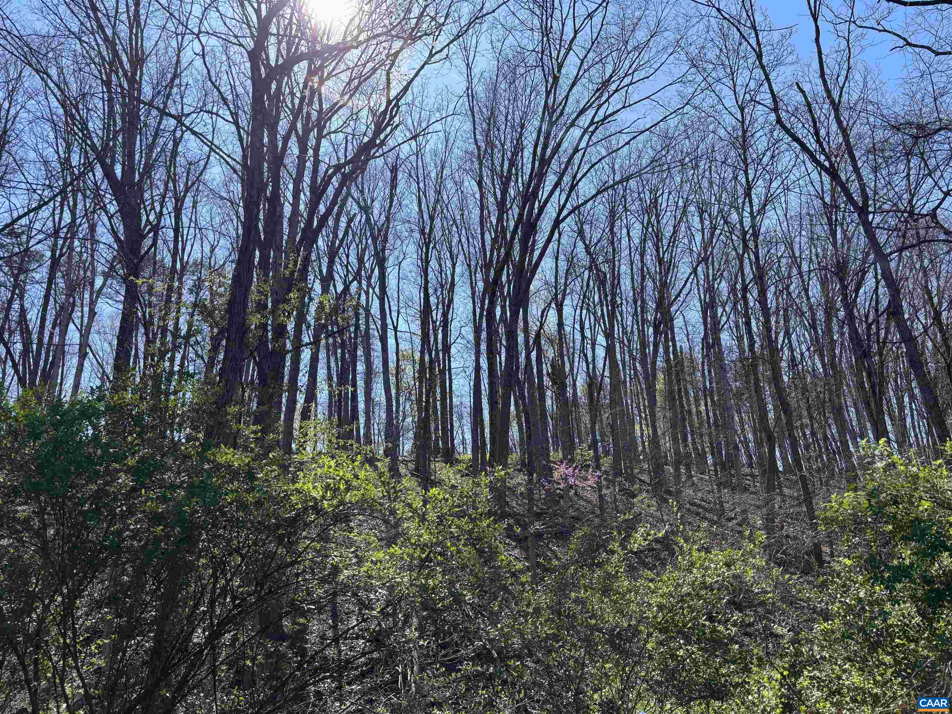 475 SANGERS LN, STAUNTON, Virginia 24401, ,Land,475 SANGERS LN,677400 MLS # 677400 475 SANGERS LN, STAUNTON, Virginia 24401, ,Land,475 SANGERS LN,677400 MLS # 677400