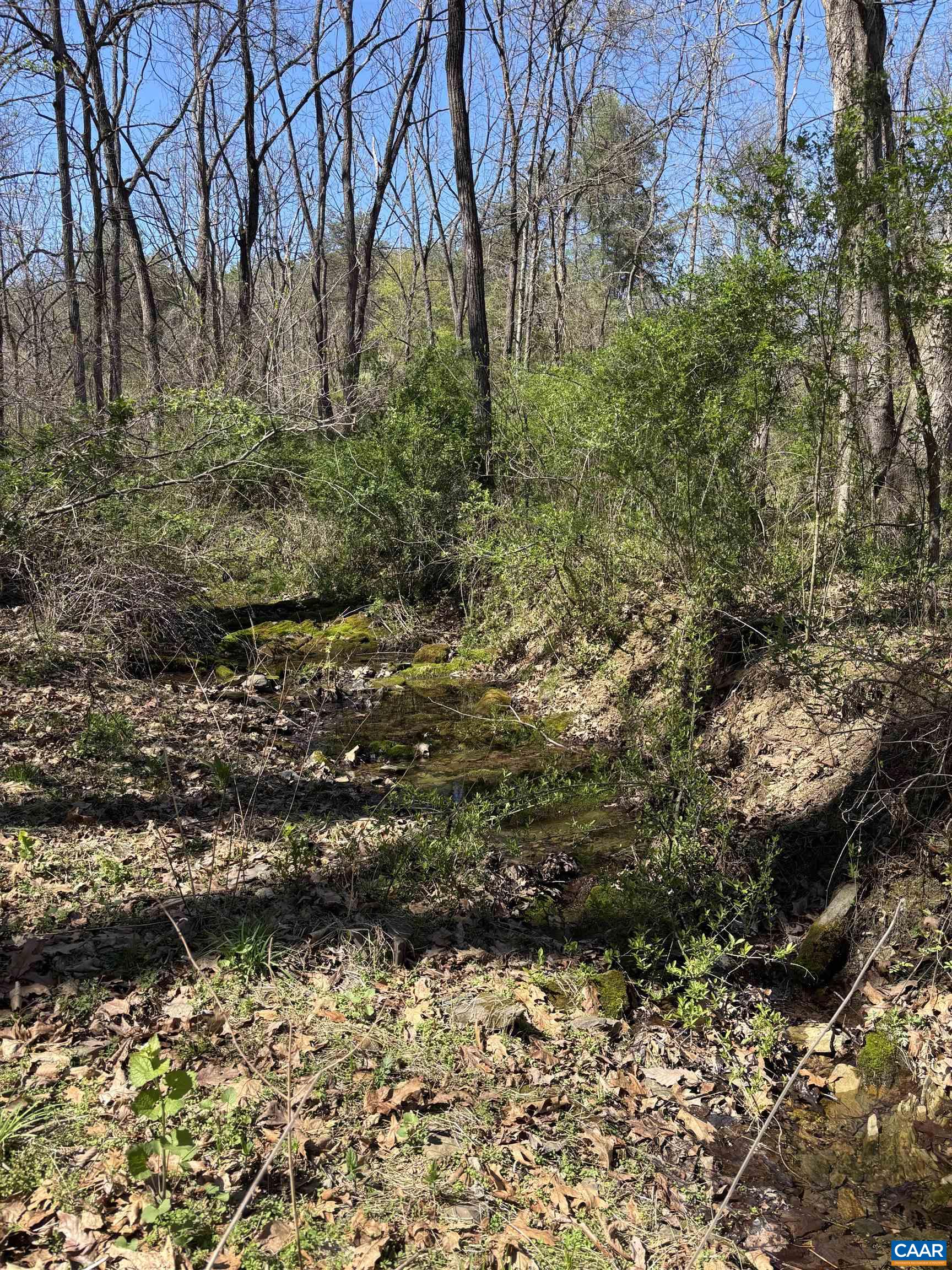 475 SANGERS LN, STAUNTON, Virginia 24401, ,Land,475 SANGERS LN,677400 MLS # 677400 475 SANGERS LN, STAUNTON, Virginia 24401, ,Land,475 SANGERS LN,677400 MLS # 677400