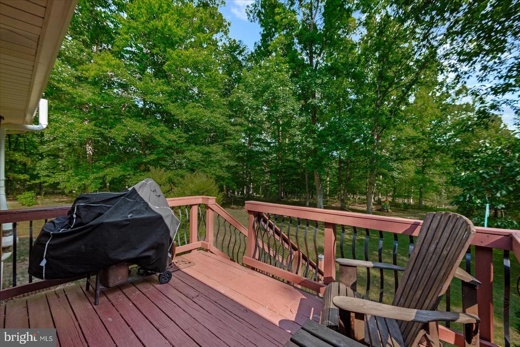 804 BUGGY, ROCHELLE, Virginia 22738, 3 Bedrooms Bedrooms, ,3 BathroomsBathrooms,Residential,804 BUGGY,VAMA2002770 MLS # VAMA2002770 804 BUGGY, ROCHELLE, Virginia 22738, 3 Bedrooms Bedrooms, ,3 BathroomsBathrooms,Residential,804 BUGGY,VAMA2002770 MLS # VAMA2002770