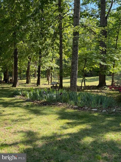 804 BUGGY, ROCHELLE, Virginia 22738, 3 Bedrooms Bedrooms, ,3 BathroomsBathrooms,Residential,804 BUGGY,VAMA2002770 MLS # VAMA2002770