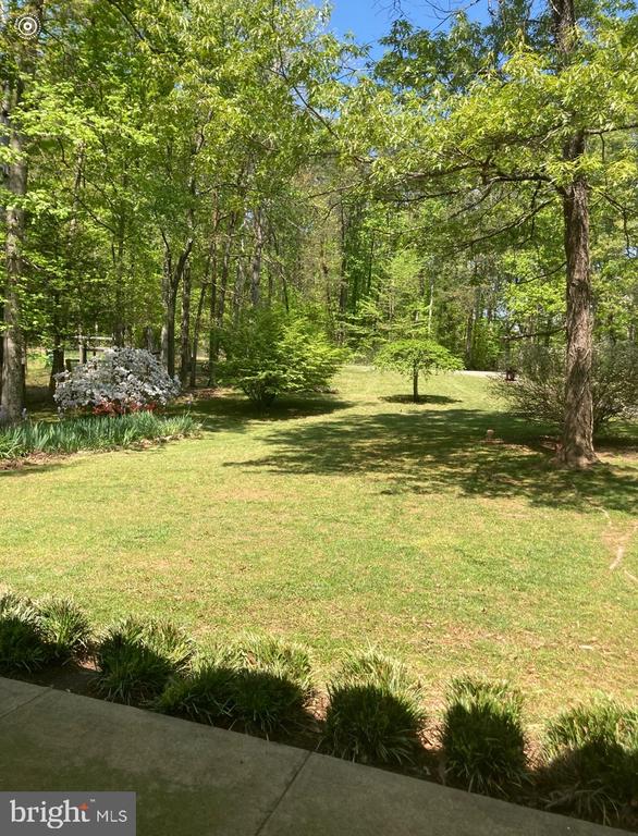 804 BUGGY, ROCHELLE, Virginia 22738, 3 Bedrooms Bedrooms, ,3 BathroomsBathrooms,Residential,804 BUGGY,VAMA2002770 MLS # VAMA2002770