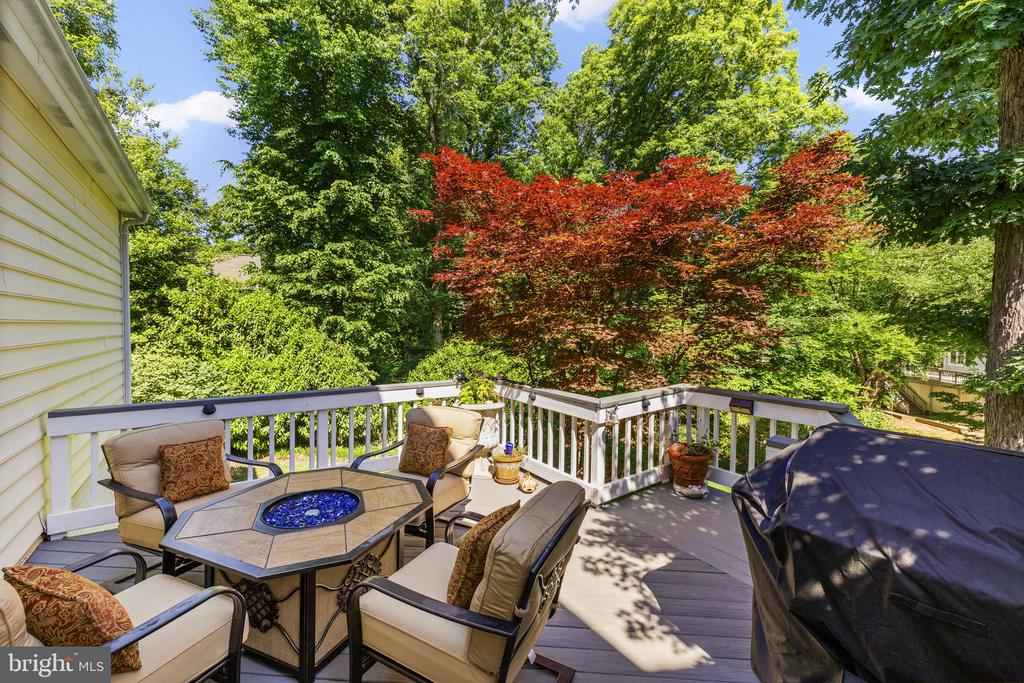 10610 EDINBURGH DR, SPOTSYLVANIA, Virginia 22553, 5 Bedrooms Bedrooms, ,3 BathroomsBathrooms,Residential,10610 EDINBURGH DR,VASP2041854 MLS # VASP2041854 10610 EDINBURGH DR, SPOTSYLVANIA, Virginia 22553, 5 Bedrooms Bedrooms, ,3 BathroomsBathrooms,Residential,10610 EDINBURGH DR,VASP2041854 MLS # VASP2041854