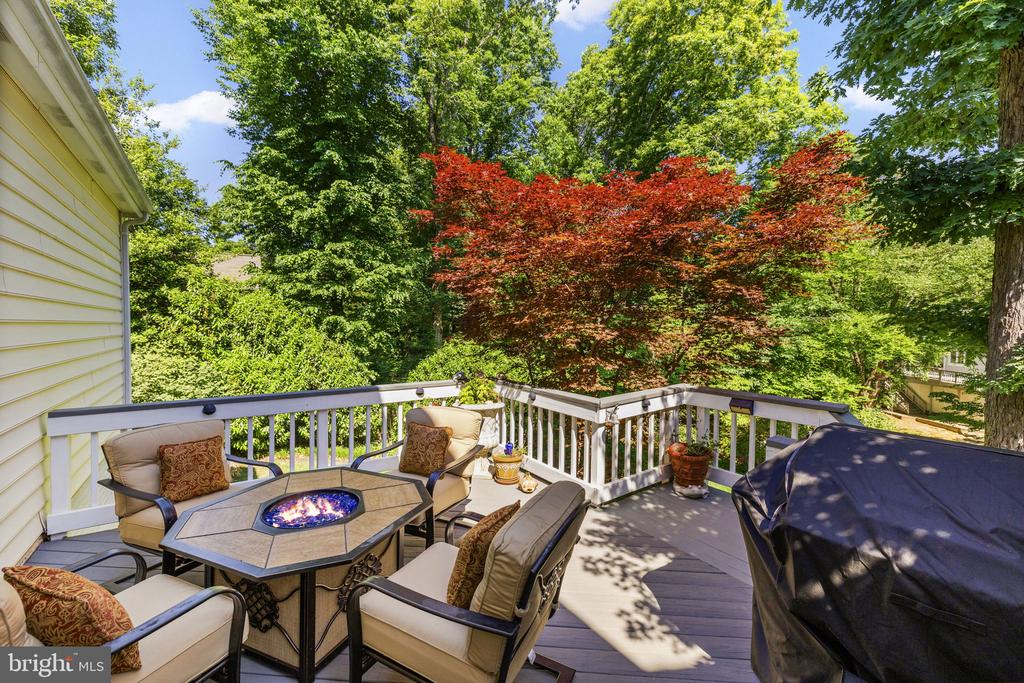 10610 EDINBURGH DR, SPOTSYLVANIA, Virginia 22553, 5 Bedrooms Bedrooms, ,3 BathroomsBathrooms,Residential,10610 EDINBURGH DR,VASP2041854 MLS # VASP2041854 10610 EDINBURGH DR, SPOTSYLVANIA, Virginia 22553, 5 Bedrooms Bedrooms, ,3 BathroomsBathrooms,Residential,10610 EDINBURGH DR,VASP2041854 MLS # VASP2041854
