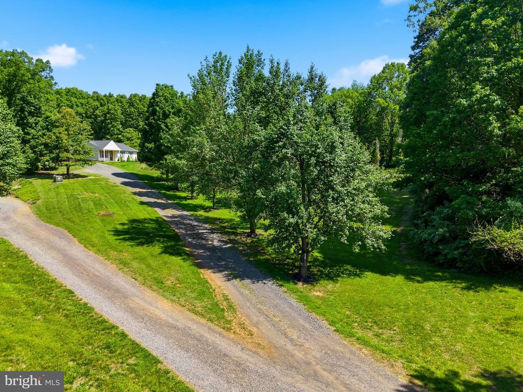 10019 PINE CONE LN, CULPEPER, Virginia 22701, 3 Bedrooms Bedrooms, ,2 BathroomsBathrooms,Residential,10019 PINE CONE LN,VACU2013694 MLS # VACU2013694