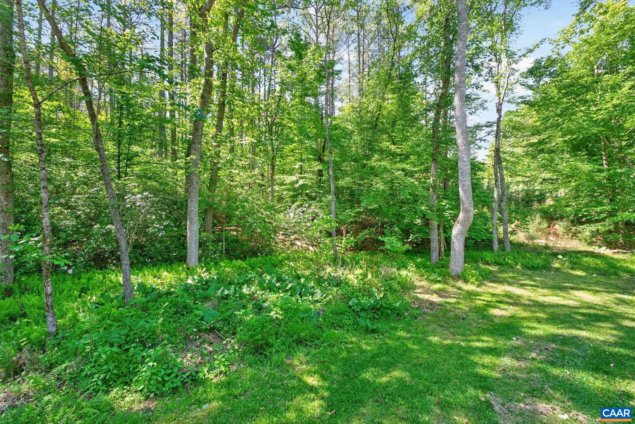 504 WILLOW RIDGE RD, TROY, Virginia 22974, 4 Bedrooms Bedrooms, ,2 BathroomsBathrooms,Residential,504 WILLOW RIDGE RD,677414 MLS # 677414 504 WILLOW RIDGE RD, TROY, Virginia 22974, 4 Bedrooms Bedrooms, ,2 BathroomsBathrooms,Residential,504 WILLOW RIDGE RD,677414 MLS # 677414