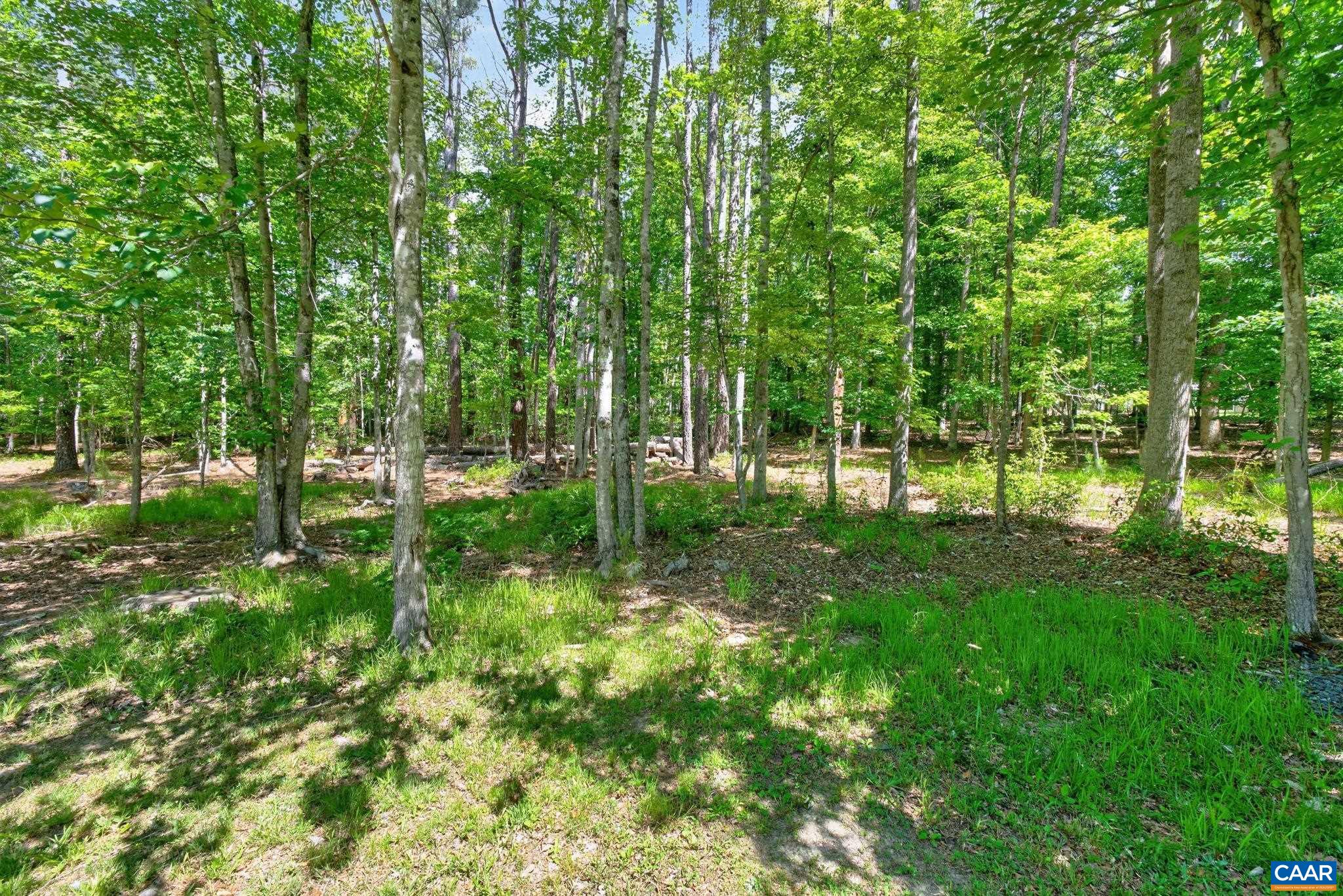 504 WILLOW RIDGE RD, TROY, Virginia 22974, 4 Bedrooms Bedrooms, ,2 BathroomsBathrooms,Residential,504 WILLOW RIDGE RD,677414 MLS # 677414 504 WILLOW RIDGE RD, TROY, Virginia 22974, 4 Bedrooms Bedrooms, ,2 BathroomsBathrooms,Residential,504 WILLOW RIDGE RD,677414 MLS # 677414