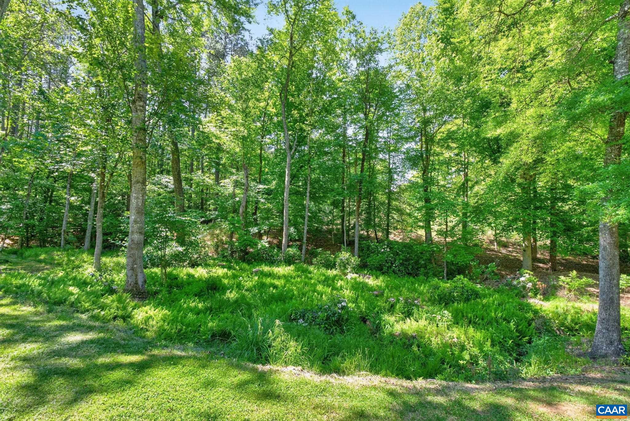 504 WILLOW RIDGE RD, TROY, Virginia 22974, 4 Bedrooms Bedrooms, ,2 BathroomsBathrooms,Residential,504 WILLOW RIDGE RD,677414 MLS # 677414 504 WILLOW RIDGE RD, TROY, Virginia 22974, 4 Bedrooms Bedrooms, ,2 BathroomsBathrooms,Residential,504 WILLOW RIDGE RD,677414 MLS # 677414