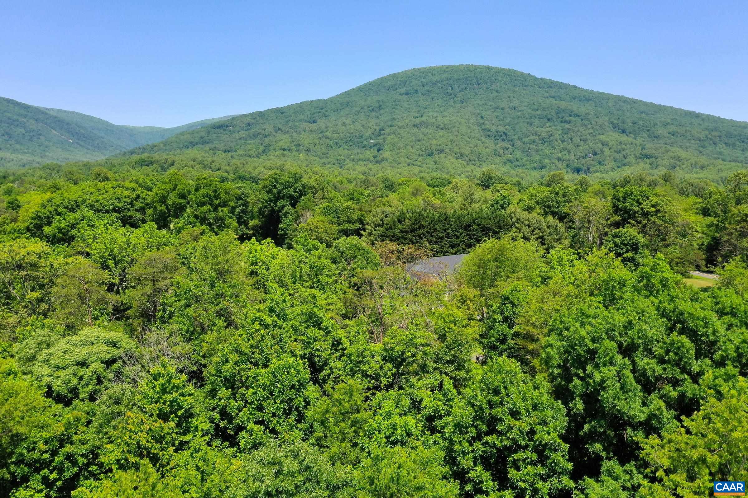 1128 STONEY CREEK WEST, NELLYSFORD, Virginia 22958, ,Land,Golf Course Lot!,1128 STONEY CREEK WEST,677431 MLS # 677431 1128 STONEY CREEK WEST, NELLYSFORD, Virginia 22958, ,Land,Golf Course Lot!,1128 STONEY CREEK WEST,677431 MLS # 677431