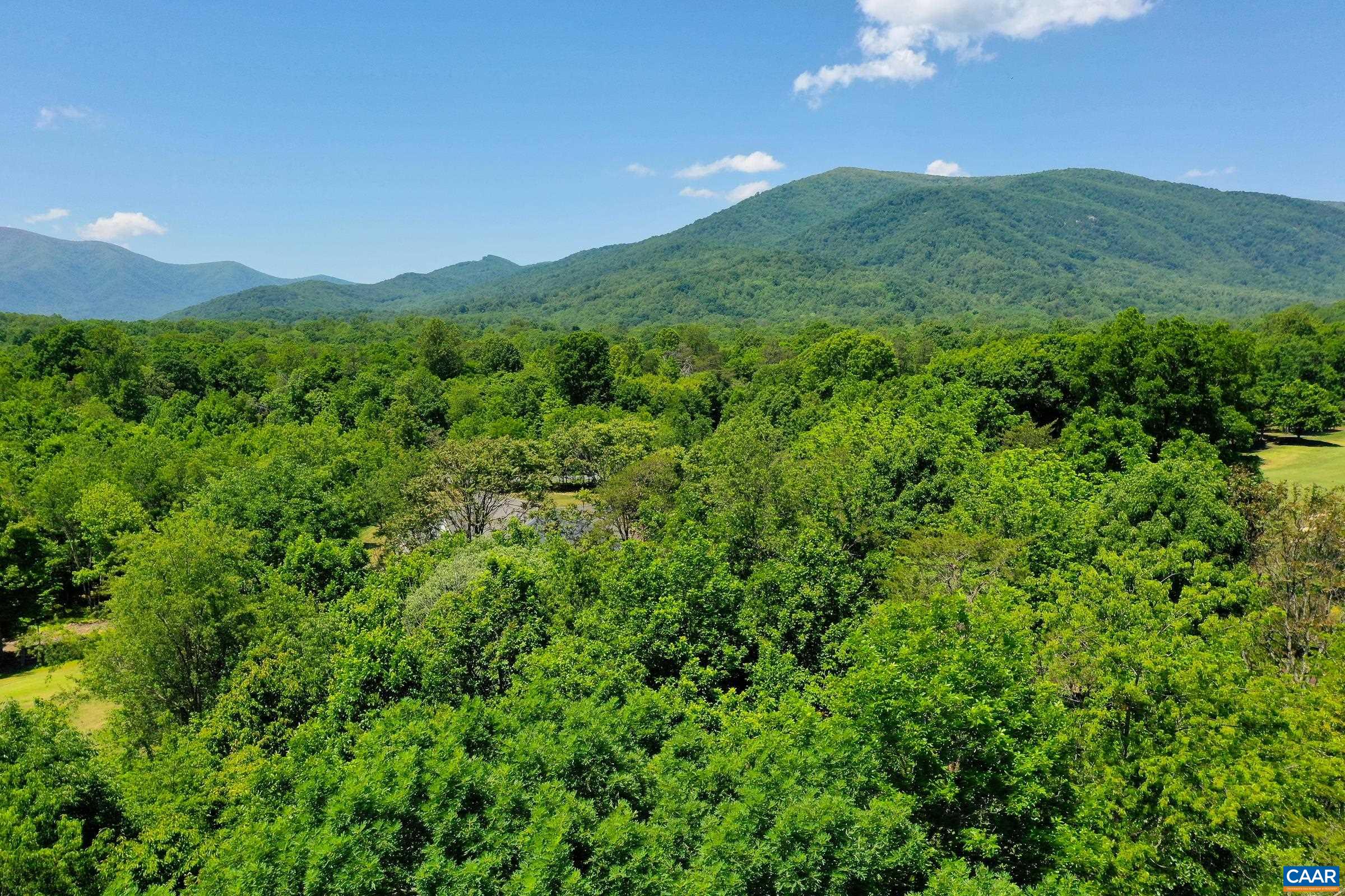 1128 STONEY CREEK WEST, NELLYSFORD, Virginia 22958, ,Land,Golf Course Lot!,1128 STONEY CREEK WEST,677431 MLS # 677431 1128 STONEY CREEK WEST, NELLYSFORD, Virginia 22958, ,Land,Golf Course Lot!,1128 STONEY CREEK WEST,677431 MLS # 677431