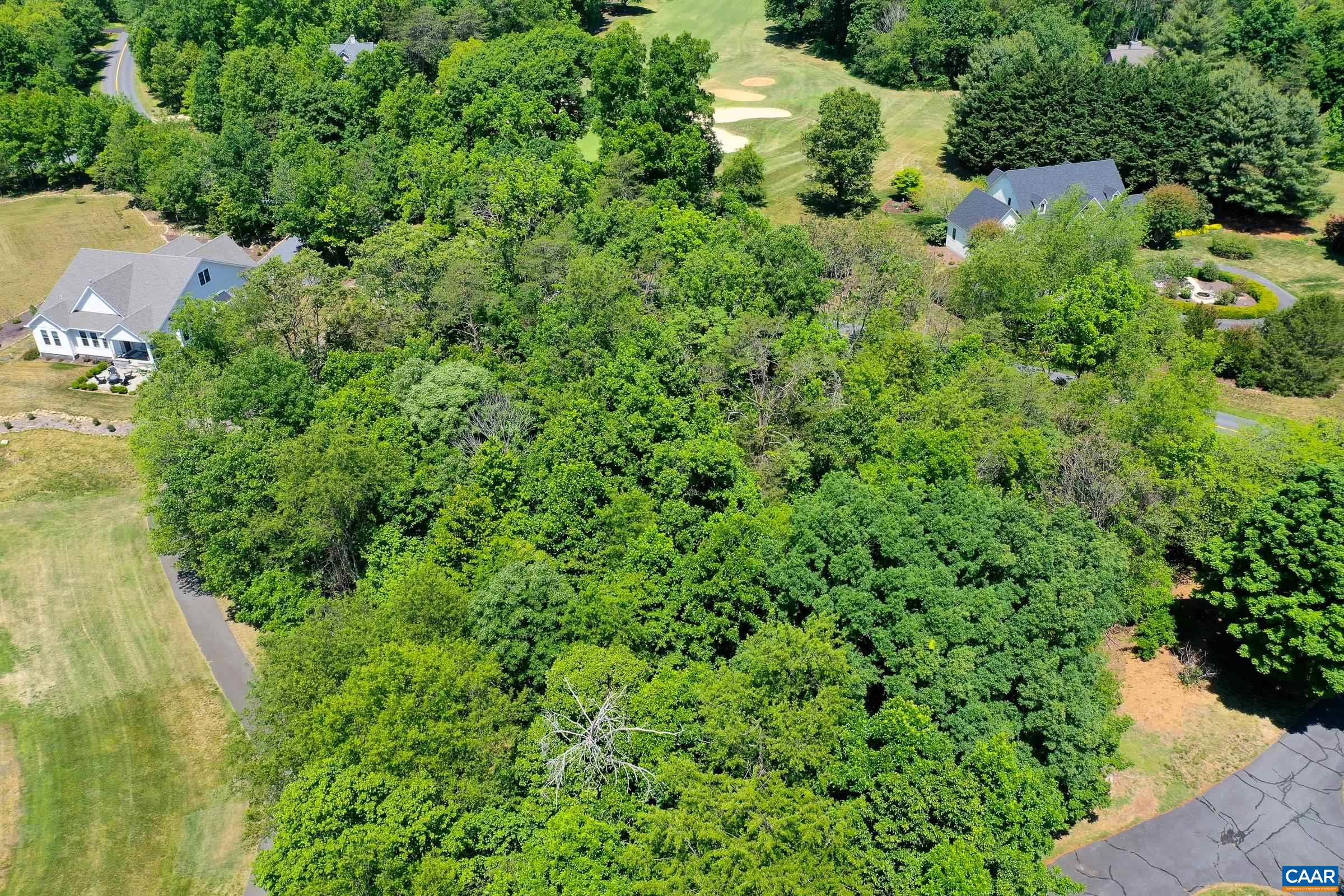 1128 STONEY CREEK WEST, NELLYSFORD, Virginia 22958, ,Land,Golf Course Lot!,1128 STONEY CREEK WEST,677431 MLS # 677431 1128 STONEY CREEK WEST, NELLYSFORD, Virginia 22958, ,Land,Golf Course Lot!,1128 STONEY CREEK WEST,677431 MLS # 677431