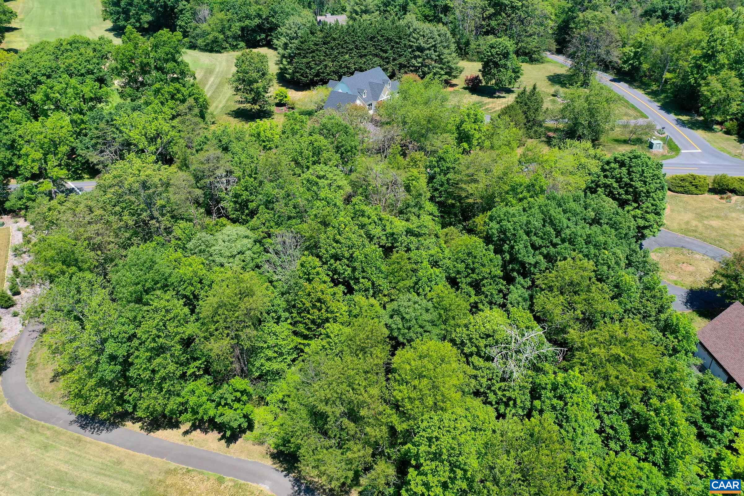 1128 STONEY CREEK WEST, NELLYSFORD, Virginia 22958, ,Land,Golf Course Lot!,1128 STONEY CREEK WEST,677431 MLS # 677431 1128 STONEY CREEK WEST, NELLYSFORD, Virginia 22958, ,Land,Golf Course Lot!,1128 STONEY CREEK WEST,677431 MLS # 677431