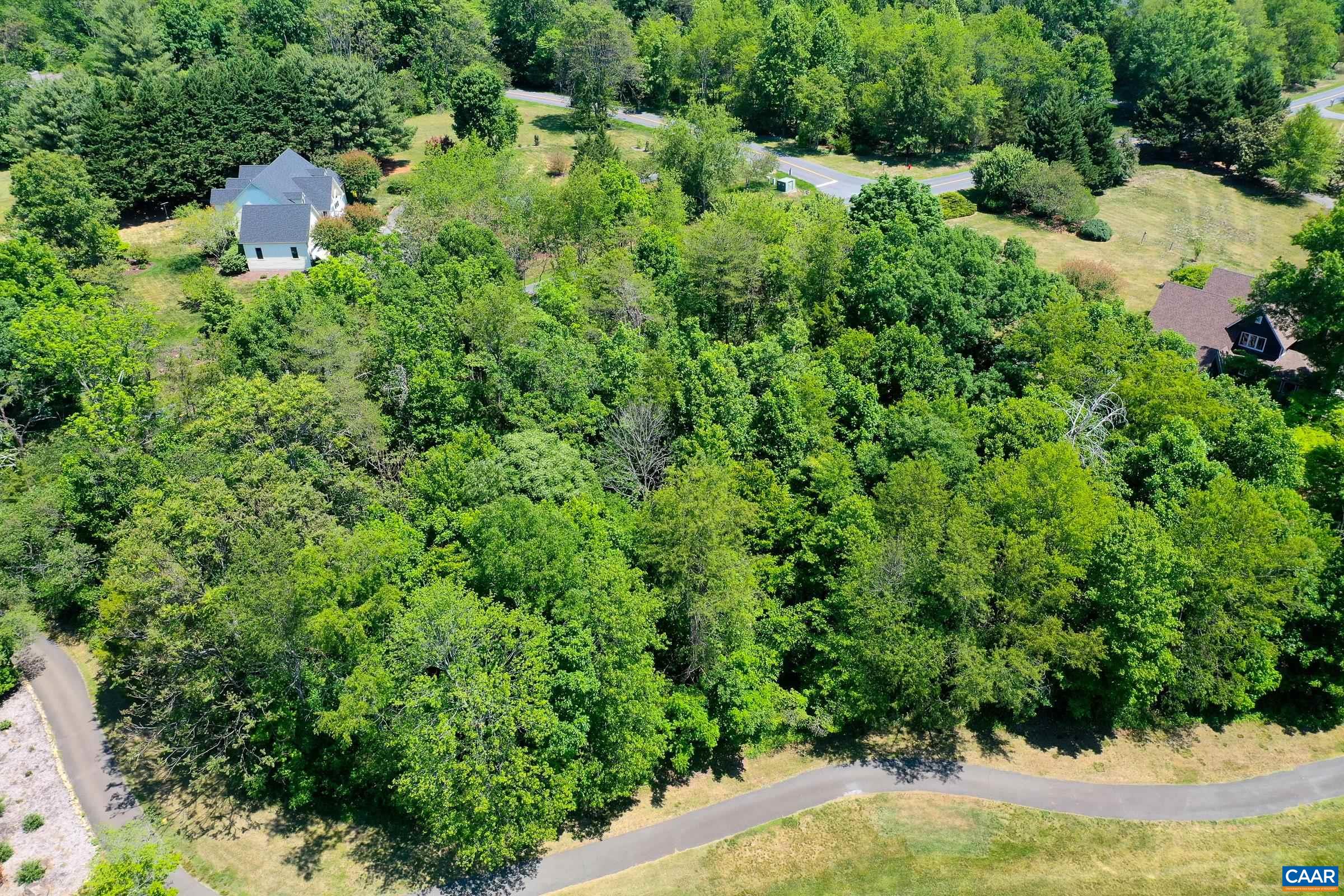 1128 STONEY CREEK WEST, NELLYSFORD, Virginia 22958, ,Land,Golf Course Lot!,1128 STONEY CREEK WEST,677431 MLS # 677431 1128 STONEY CREEK WEST, NELLYSFORD, Virginia 22958, ,Land,Golf Course Lot!,1128 STONEY CREEK WEST,677431 MLS # 677431