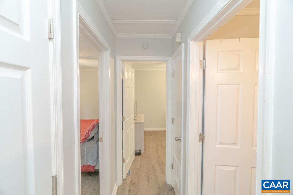 6920 ALBEVANNA SPRING RD, SCOTTSVILLE, Virginia 24590, 3 Bedrooms Bedrooms, ,2 BathroomsBathrooms,Residential,6920 ALBEVANNA SPRING RD,677459 MLS # 677459