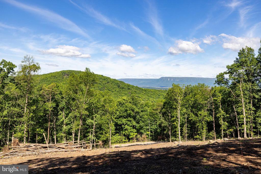 0 CROSS MOUNTAIN RD, LURAY, Virginia 22835, ,Land,0 CROSS MOUNTAIN RD,VAPA2006454 MLS # VAPA2006454