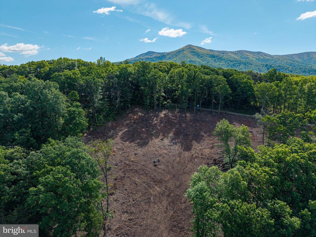 0 CROSS MOUNTAIN RD, LURAY, Virginia 22835, ,Land,0 CROSS MOUNTAIN RD,VAPA2006454 MLS # VAPA2006454