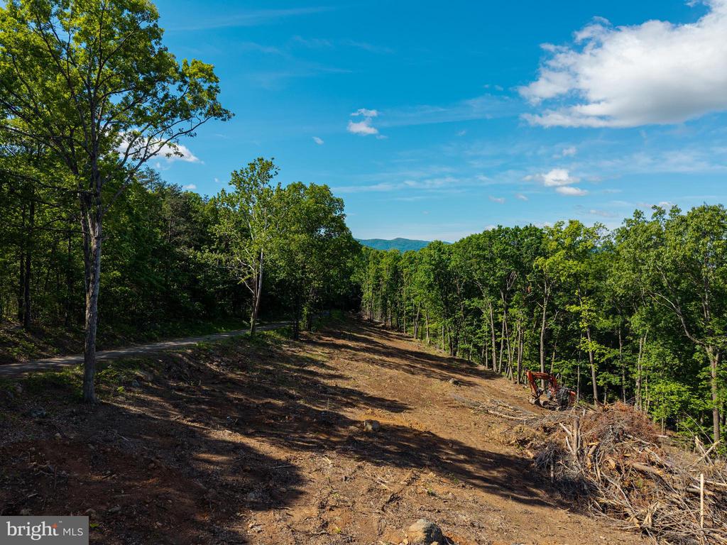 0 CROSS MOUNTAIN RD, LURAY, Virginia 22835, ,Land,0 CROSS MOUNTAIN RD,VAPA2006454 MLS # VAPA2006454