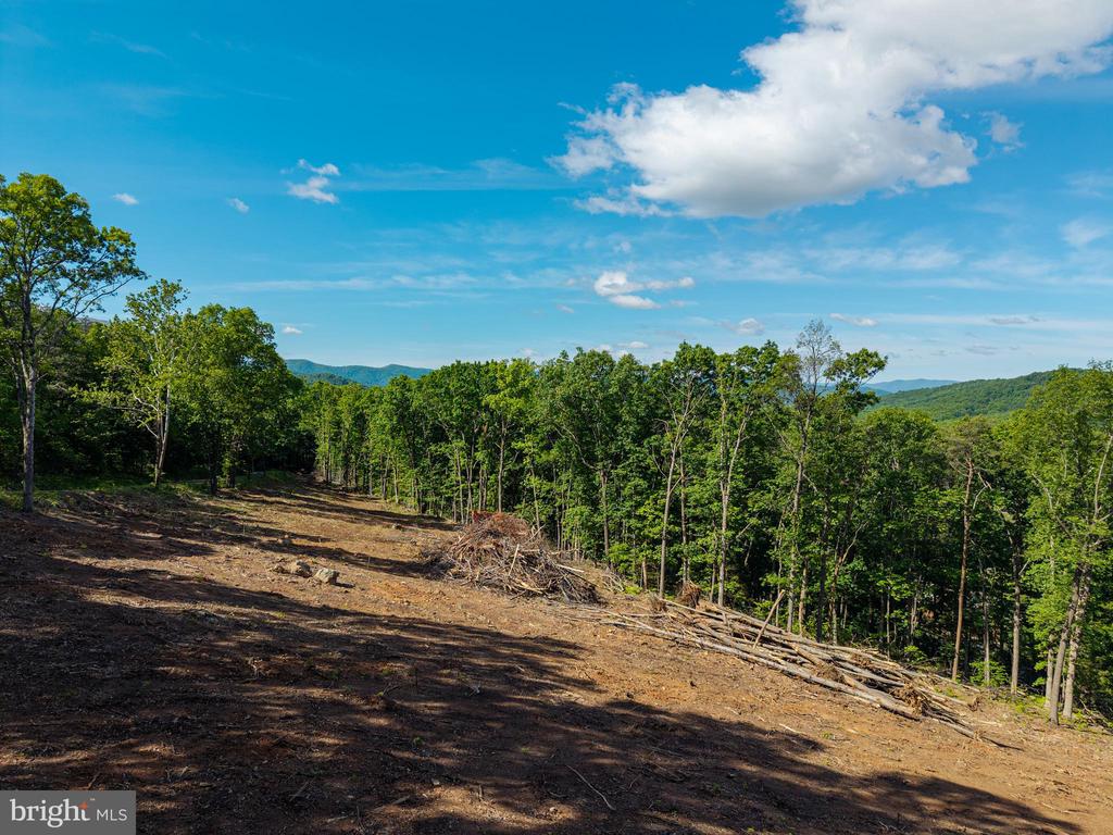 0 CROSS MOUNTAIN RD, LURAY, Virginia 22835, ,Land,0 CROSS MOUNTAIN RD,VAPA2006454 MLS # VAPA2006454