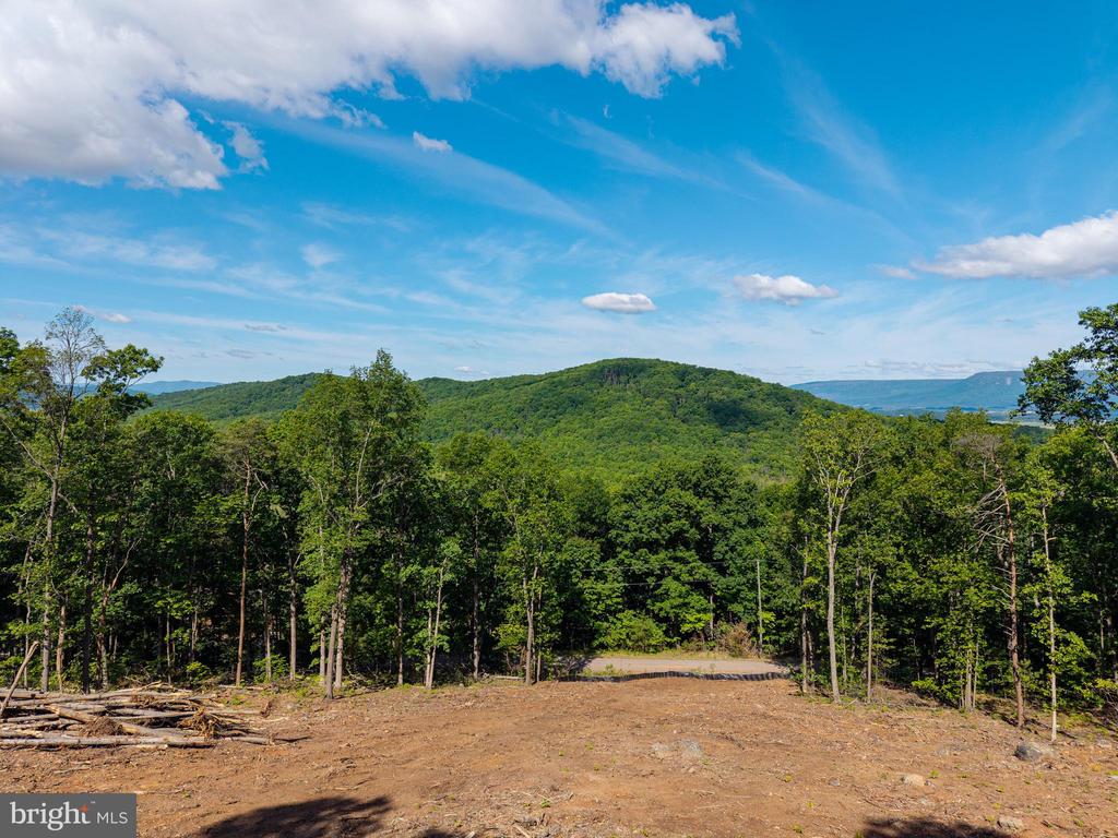 0 CROSS MOUNTAIN RD, LURAY, Virginia 22835, ,Land,0 CROSS MOUNTAIN RD,VAPA2006454 MLS # VAPA2006454