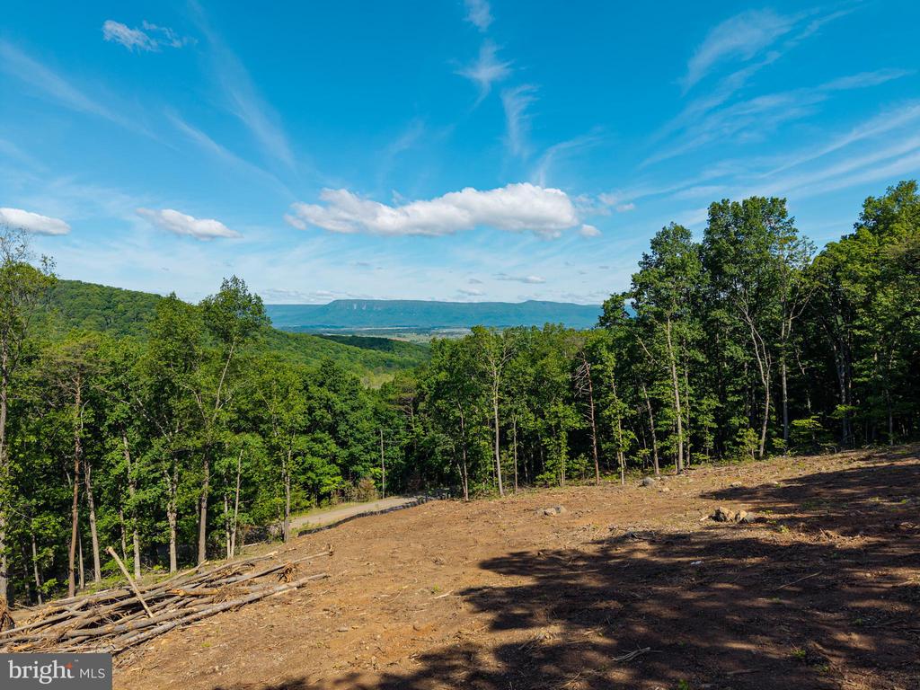 0 CROSS MOUNTAIN RD, LURAY, Virginia 22835, ,Land,0 CROSS MOUNTAIN RD,VAPA2006454 MLS # VAPA2006454